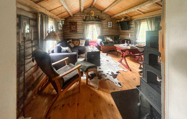 Domy wakacyjne - Røros , Norwegia - N38272 4