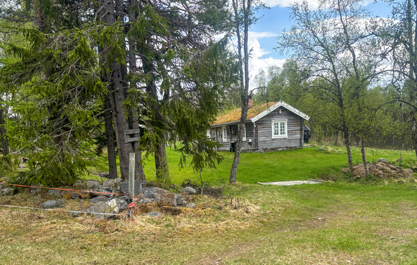Domy wakacyjne - Røros , Norwegia - N38272 81