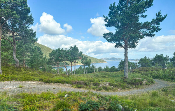 Domy wakacyjne - Hellandsjøen , Norwegia - N38275 7