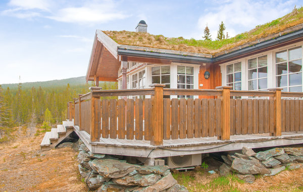 Holiday Home - Rypetoppen/Meråker , Norway - N38576 2