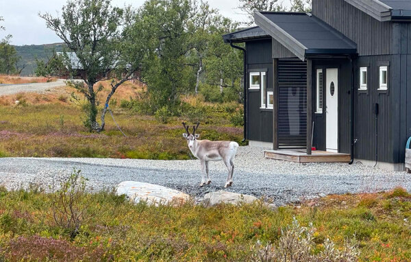 Domy wakacyjne - Ålen , Norwegia - N38587 801