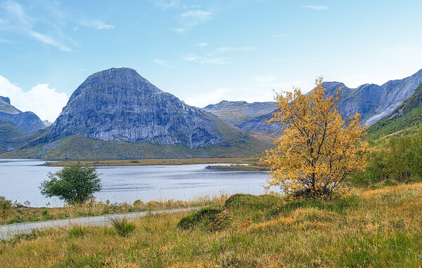 Holiday Home - Lofoten , Norway - N39221 903