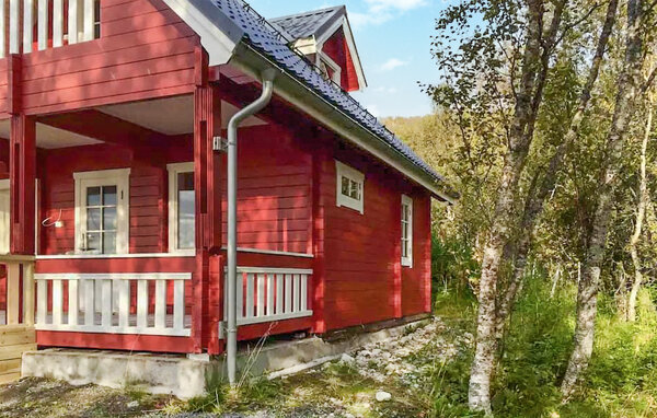 Ferienhaus - Sørvik , Norwegen - N39222 101