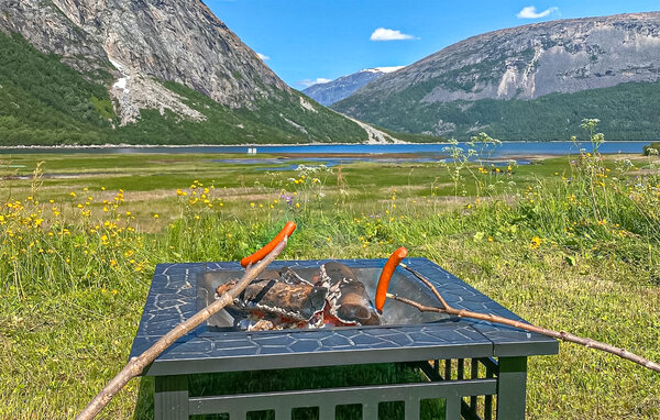 Casa vacanze - Skjomen, Narvik , Norvegia - N39224 7