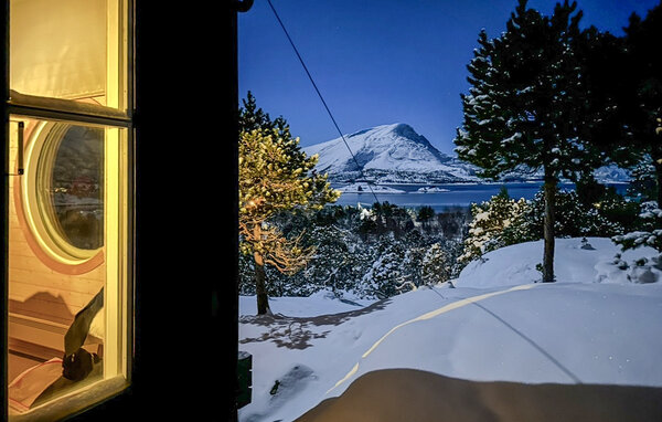 Feriehus - Ballangen/Efjord , Norge - N39227 204