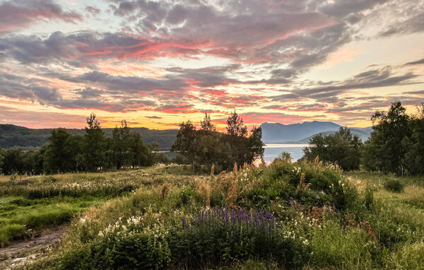 Ferienhaus - Sørfinnset , Norwegen - N39237 2