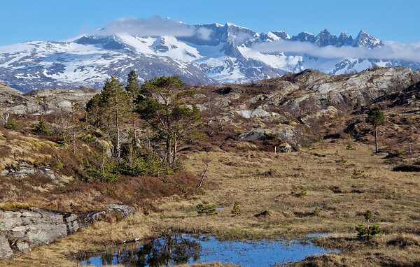 Semesterhus - Sandhornøy , Norge - N39243 904