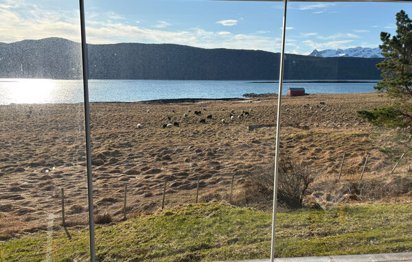 Semesterhus - Engeløya/Steigen , Norge - N39246 301