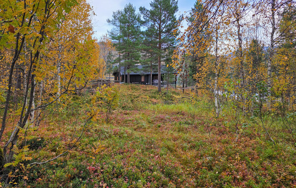 Ferienhaus - Øverbygd, Balsfjord , Norwegen - N39311 82