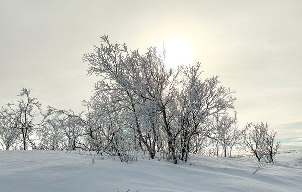 Vakantiehuis - Lakselv , Noorwegen - N39312 905