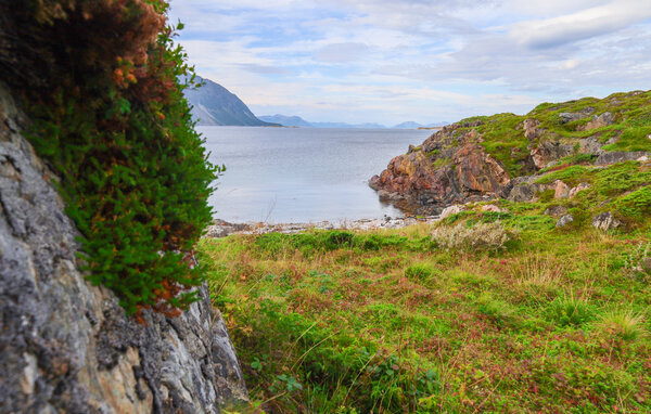 Domy wakacyjne - Bjarkøy/ Nord- Norge , Norwegia - N39314 8
