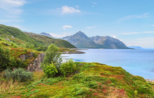 Domy wakacyjne - Bjarkøy/ Nord- Norge , Norwegia - N39314 9