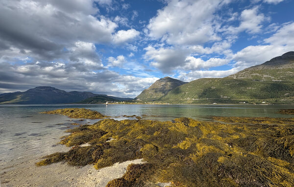 Casa vacanze - Hol i Tjeldsund , Norvegia - N39319 203