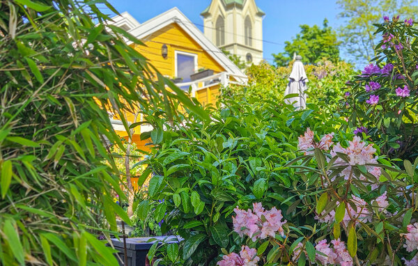 Ferieleilighet - Lillesand , Norge - NAS101 102