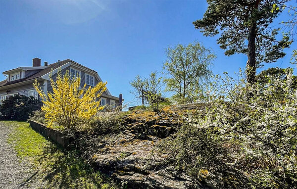Ferienhaus - Langesund , Norwegen - NTG048 81