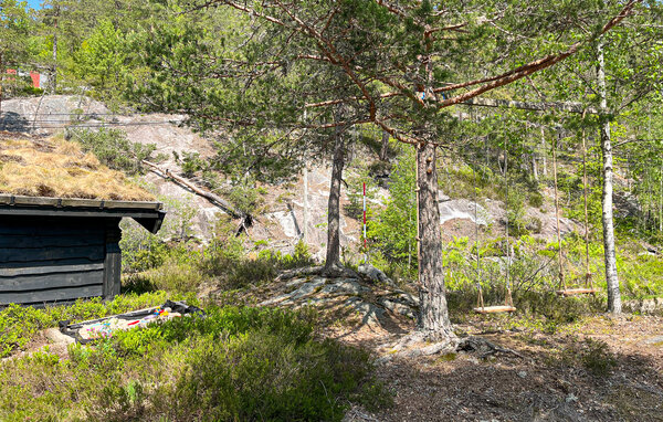 Feriehus - Dølemo , Norge - NVI002 101
