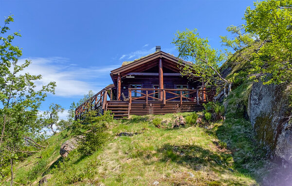 Casa de vacaciones - Ljosland/Åseral , Noruega - NVI013 1