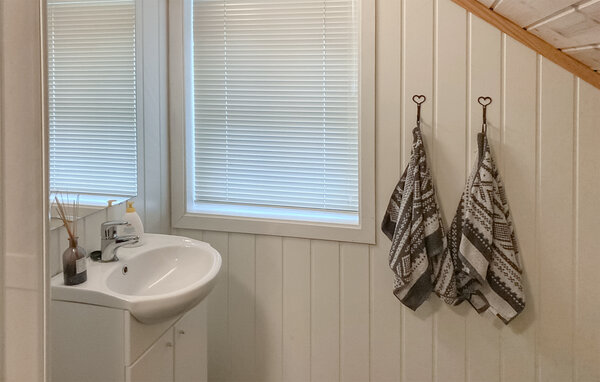 Vakantiehuis - Ljosland/Åseral , Noorwegen - NVI015 701