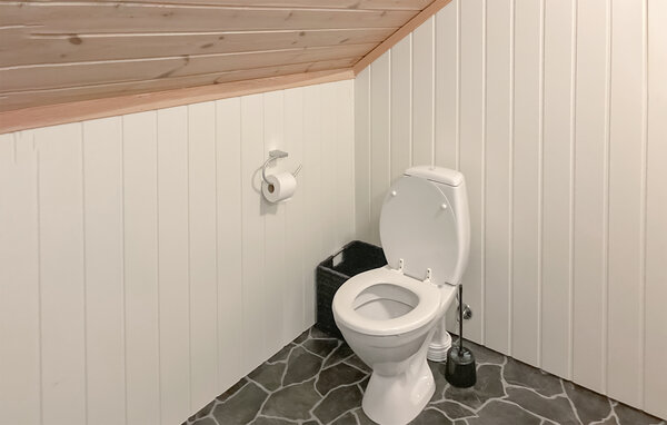 Vakantiehuis - Ljosland/Åseral , Noorwegen - NVI015 702