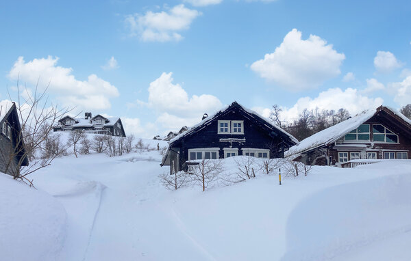Vakantiehuis - Ljosland/Åseral , Noorwegen - NVI015 82