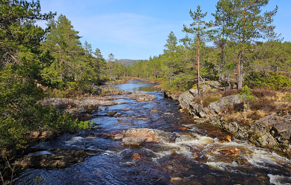 Vakantiehuis - Hornes , Noorwegen - NVI016 8