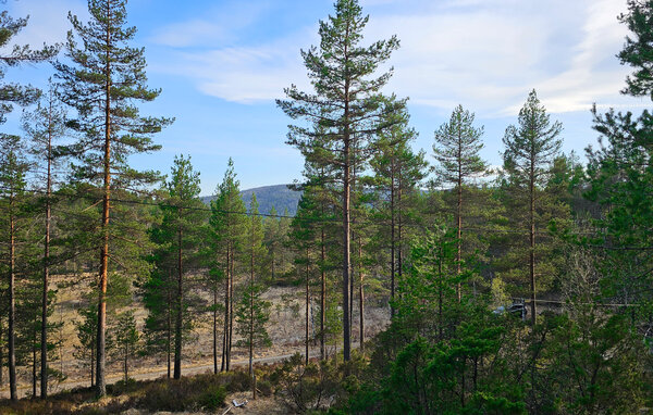 Vakantiehuis - Hornes , Noorwegen - NVI016 7