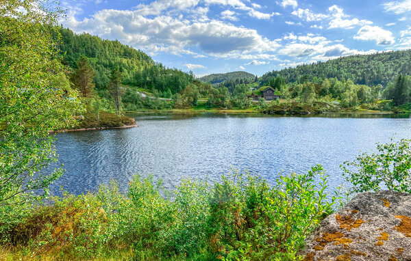 Semesterlägenhet - Tjørhom/Sirdal , Norge - NVI018 6