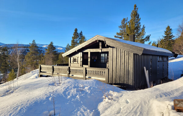 Holiday Home - Bykle/Hovden , Norway - NVI021 1