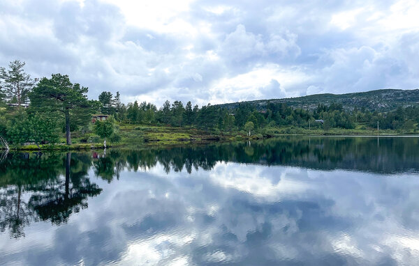 Ferienhaus - Bortelid, Åseral , Norwegen - NVI025 802