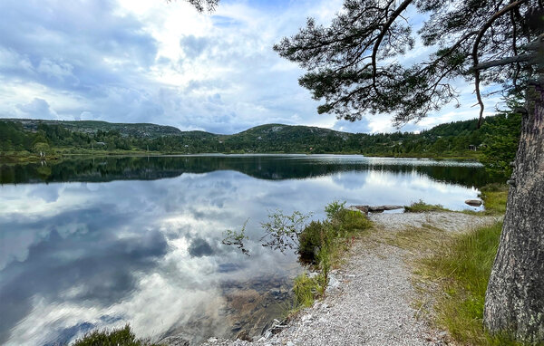 Ferienhaus - Bortelid, Åseral , Norwegen - NVI025 803
