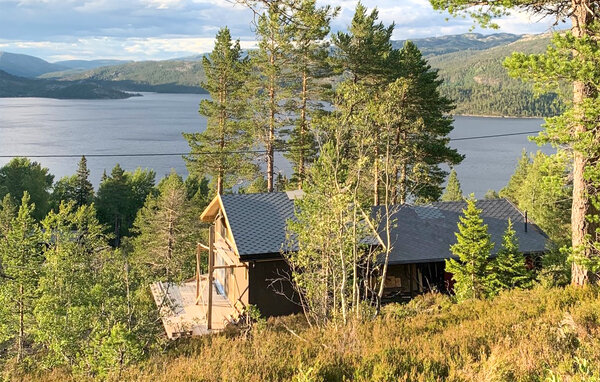 Ferienhaus - Bortelid, Åseral , Norwegen - NVI025 804