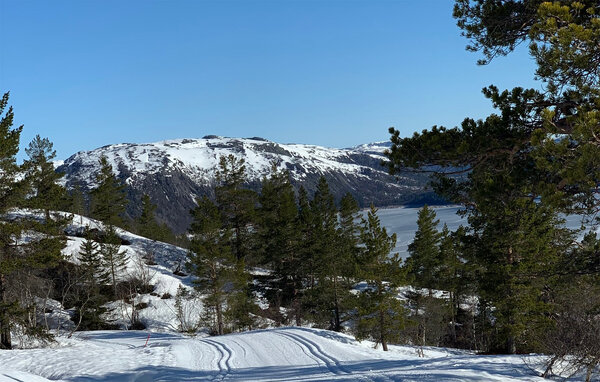 Ferienhaus - Bortelid, Åseral , Norwegen - NVI025 904