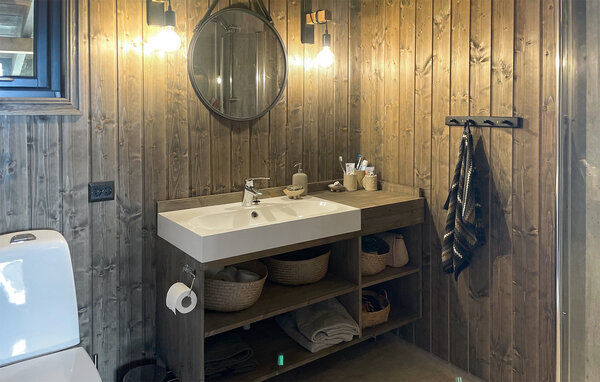 Ferienhaus - Bortelid, Åseral , Norwegen - NVI025 701