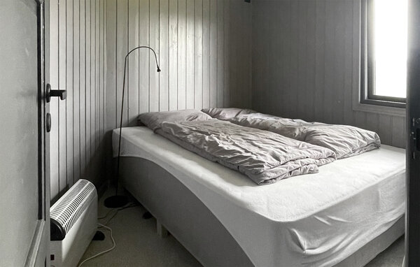Ferienhaus - Bortelid, Åseral , Norwegen - NVI025 5