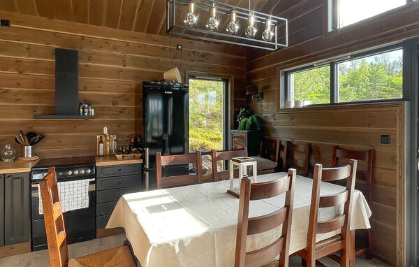 Ferienhaus - Bortelid, Åseral , Norwegen - NVI025 401