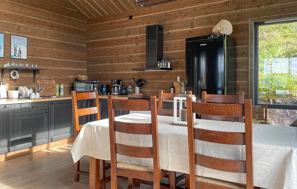 Ferienhaus - Bortelid, Åseral , Norwegen - NVI025 4