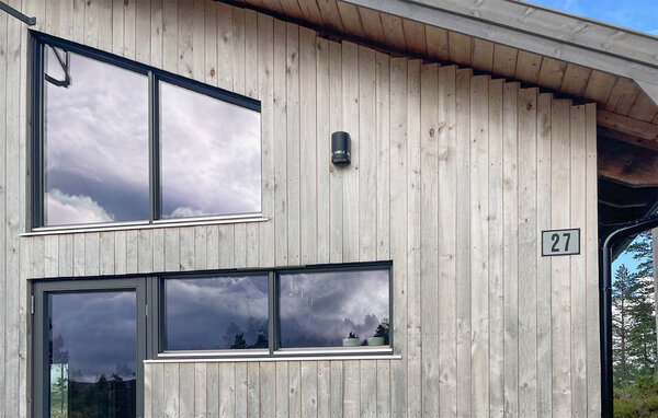 Ferienhaus - Bortelid, Åseral , Norwegen - NVI025 83