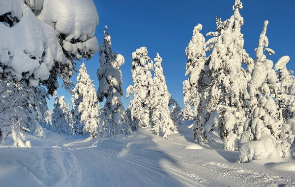 Semesterlägenhet - Vegårshei , Norge - NVI029 901