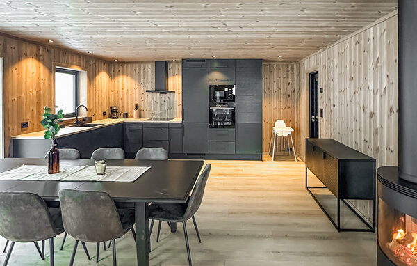 Ferienhaus - Ljosland, Åseral , Norwegen - NVI031 301