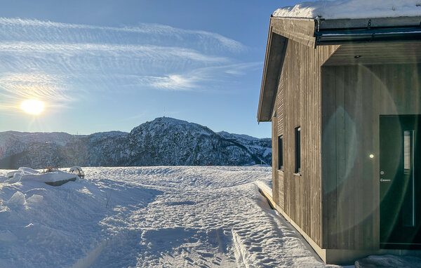 Ferienhaus - Ljosland, Åseral , Norwegen - NVI031 89