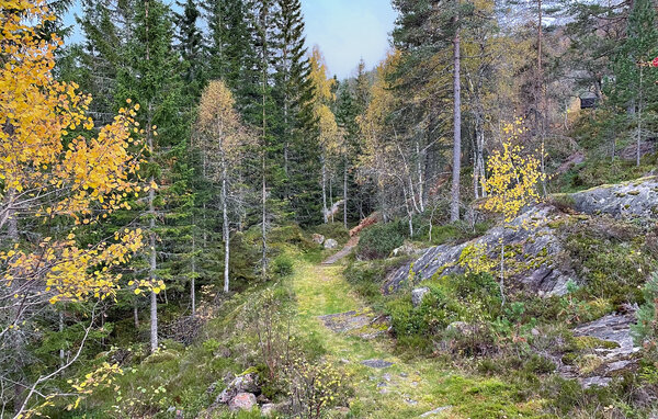 Ferienhaus - Bortelid/Åseral , Norwegen - NVI033 901