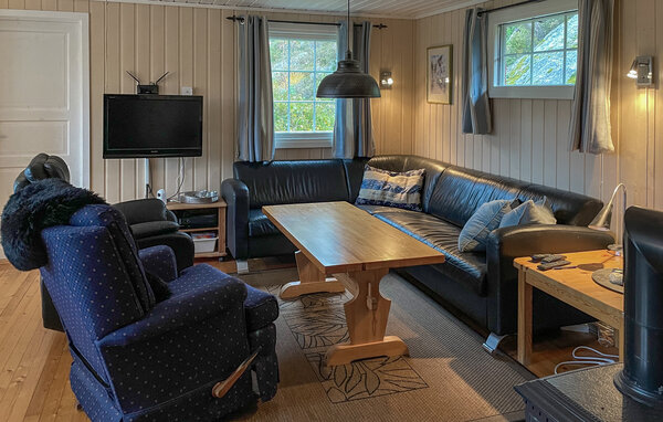 Ferienhaus - Bortelid/Åseral , Norwegen - NVI033 4