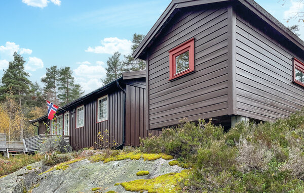 Ferienhaus - Bortelid/Åseral , Norwegen - NVI033 1