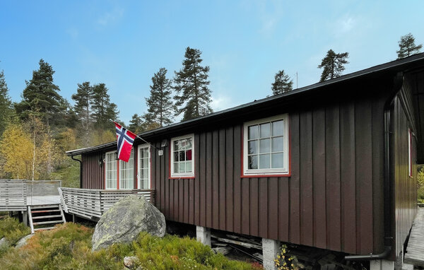 Ferienhaus - Bortelid/Åseral , Norwegen - NVI033 83