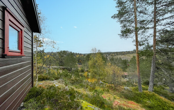 Ferienhaus - Bortelid/Åseral , Norwegen - NVI033 2