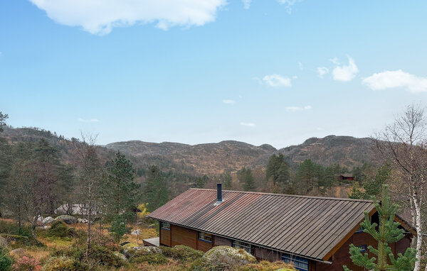 Semesterhus - Tjørhom/Sirdal , Norge - NVI034 2