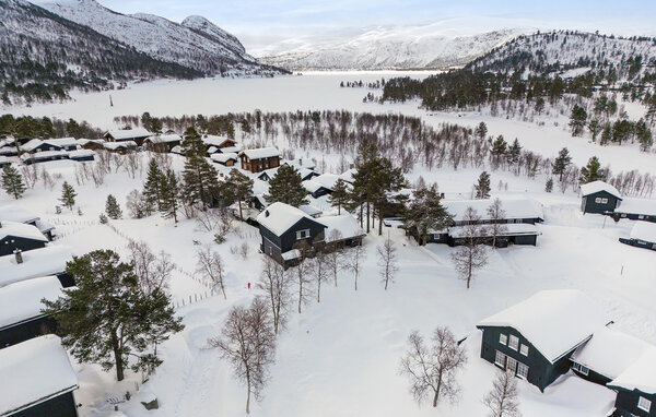 Ferienwohnung - Hovden , Norwegen - NVI037 81