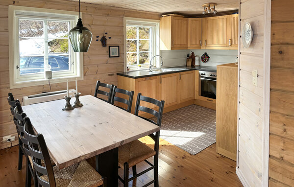Feriehuse - Ljosland, Åseral , Norge - NVI039 6