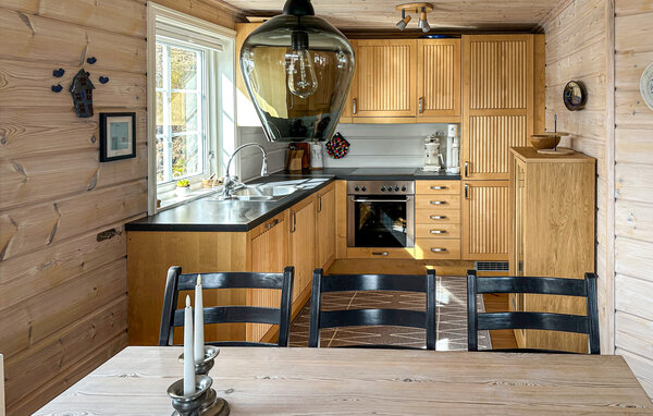 Feriehuse - Ljosland, Åseral , Norge - NVI039 401