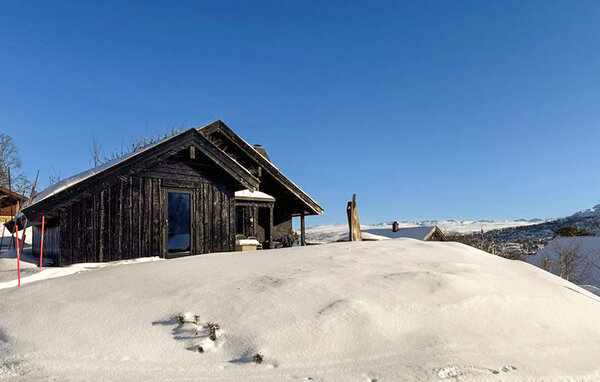 Feriehuse - Hovden i Setesdal , Norge - NVI041 81